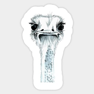 Percy the Ostrich Sticker